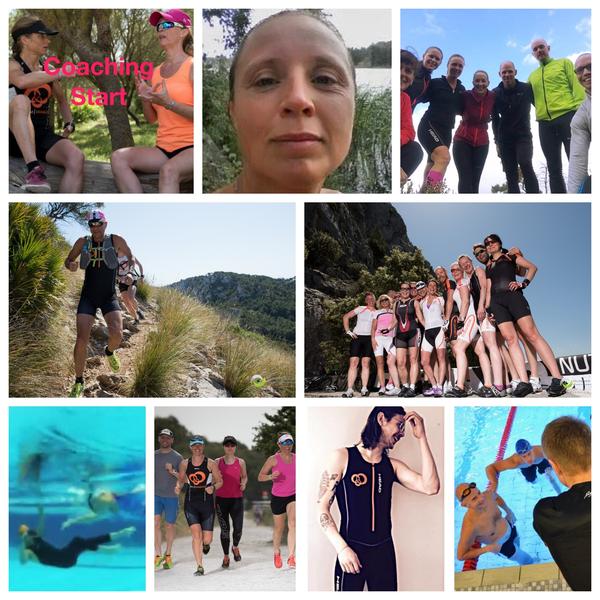 Team Snabbares nyhetsbrev 23 november 2018