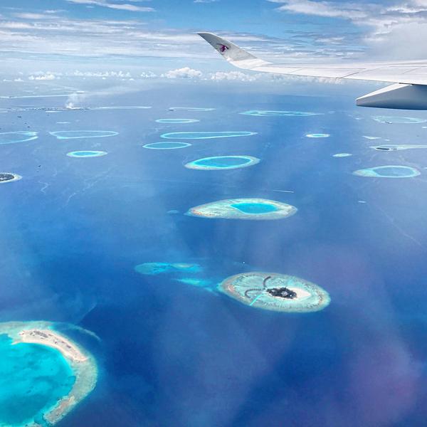 Team Snabbares nyhetsbrev 25 januari 2019