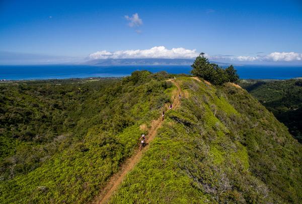 Team Snabbares Nyhetsbrev 19 oktober 2016