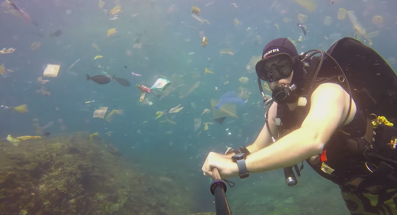 Simmare för rent vatten - förenen eder!