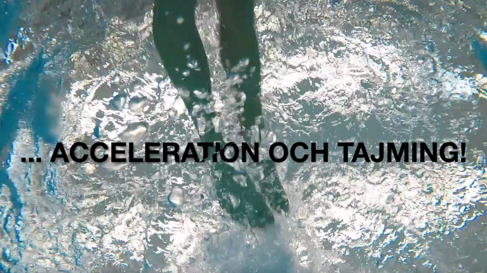 Flow och simmarglädje att simma som en hund