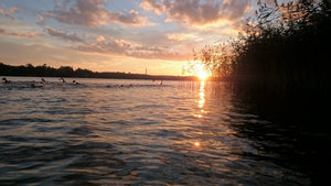 Simsafari Tyresö o Tyresta SwimHike - Sthlm